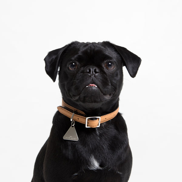 Growlmama London Dog Collar | Camel | Luxury dog collar | Leather