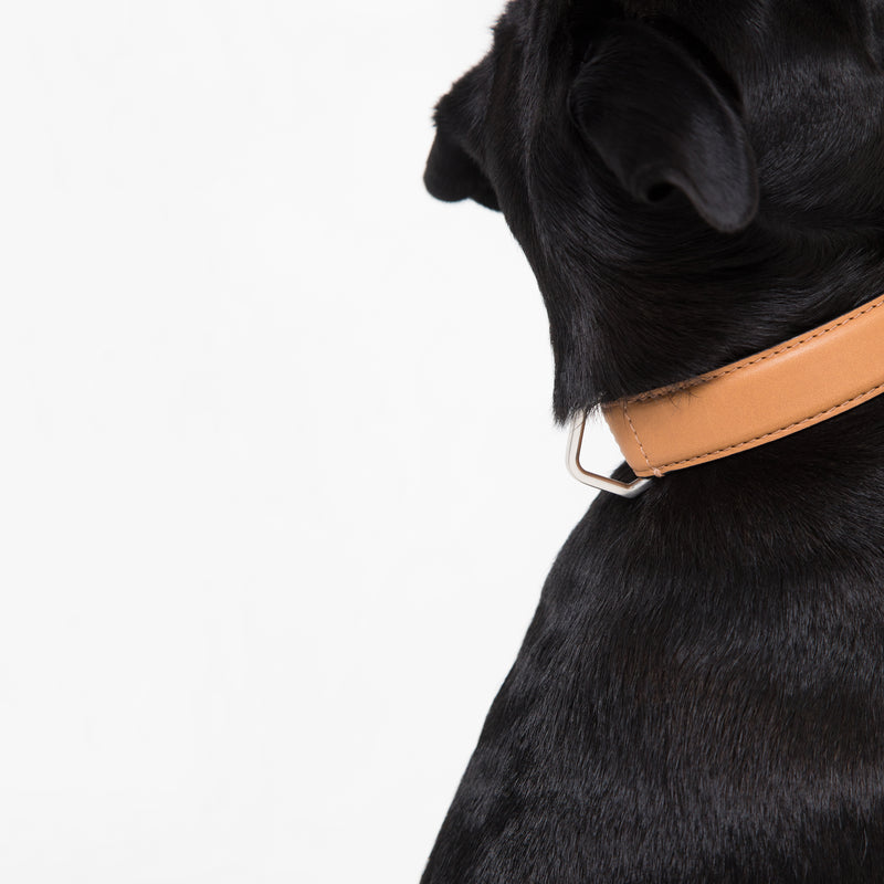 Growlmama London Dog Collar | Camel | Luxury dog collar | Leather